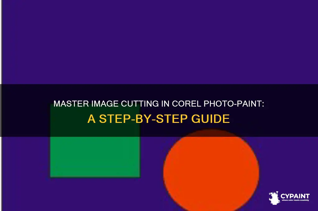 how to cut out an image in corel photo paint