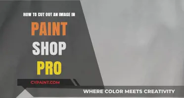 Master Image Cutting in Paint Shop Pro: A Step-by-Step Guide