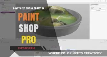 Master Object Extraction in Paint Shop Pro: A Step-by-Step Guide