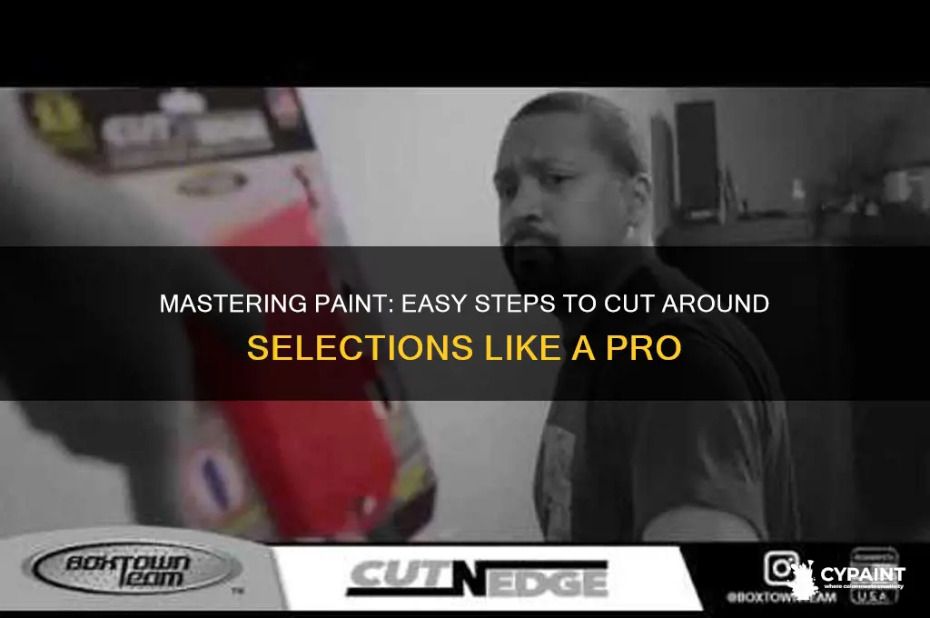 how to cut out around selection in paint
