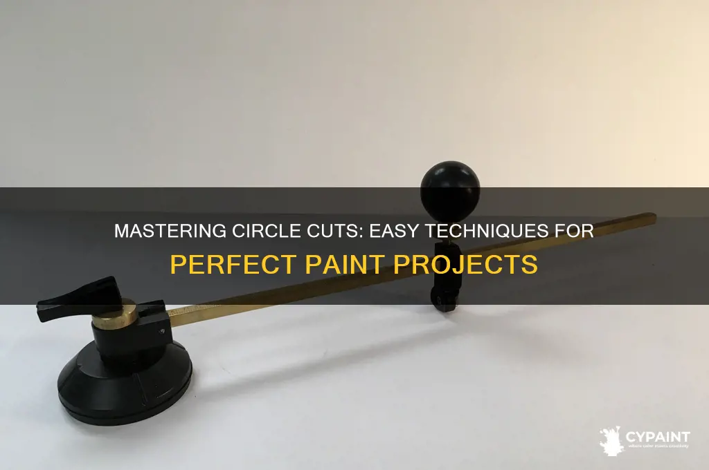 how to cut out circles in paint