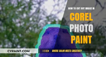 Mastering Image Cut-Outs in Corel Photo-Paint
