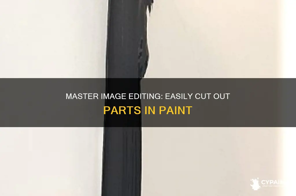 how to cut out part of an image in paint