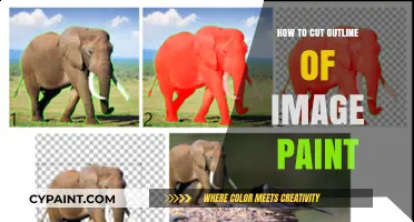 Mastering Image Outlines: A Step-by-Step Guide to Precise Paint Cutting
