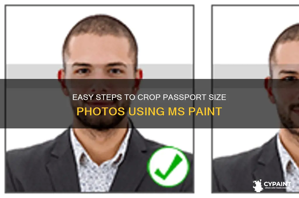 how to cut passport size photo in paint