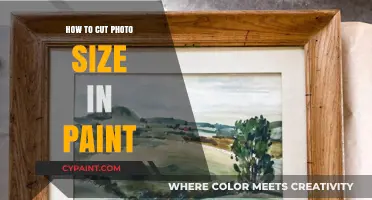 Easy Steps to Resize and Reduce Photo Size in Paint