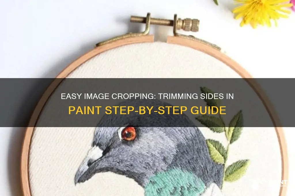 how to cut sides off of an image in paint