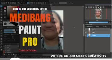 Cutting Out Objects in MediBang Paint Pro: A Step-by-Step Guide