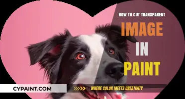 Mastering Transparent Image Cropping in Paint: A Step-by-Step Guide