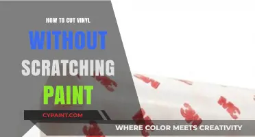 Protect Your Paint: Expert Tips for Cutting Vinyl Safely and Smoothly