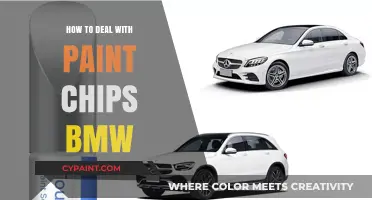 Effective Ways to Repair and Prevent Paint Chips on Your BMW