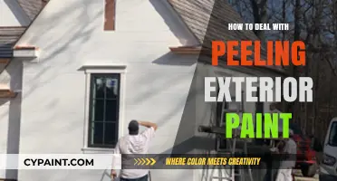 Revive Your Home's Curb Appeal: Fixing Peeling Exterior Paint