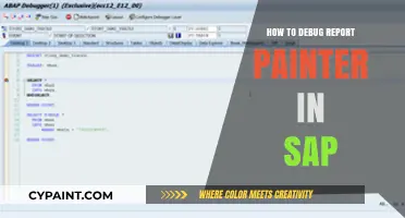 Mastering SAP Report Painter Debugging: A Step-by-Step Troubleshooting Guide