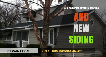 Painting vs. Siding: Choosing the Best Exterior Upgrade for Your Home