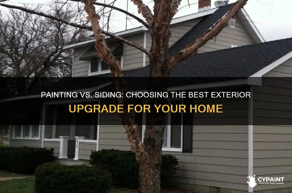 how to decide between painting and new siding