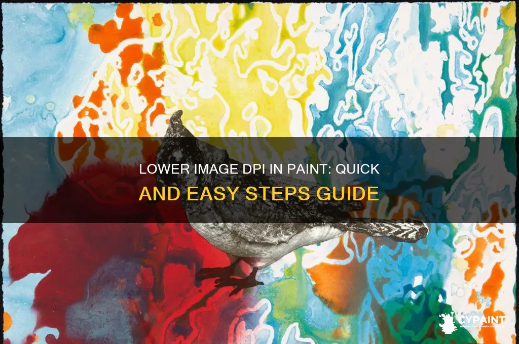 how to decrease dpi of image in paint