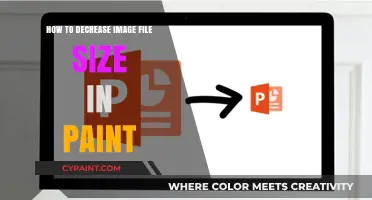 Reduce Image File Size in Paint: Quick and Easy Tips