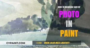 Easy Steps to Resize and Reduce Photo Size in Paint