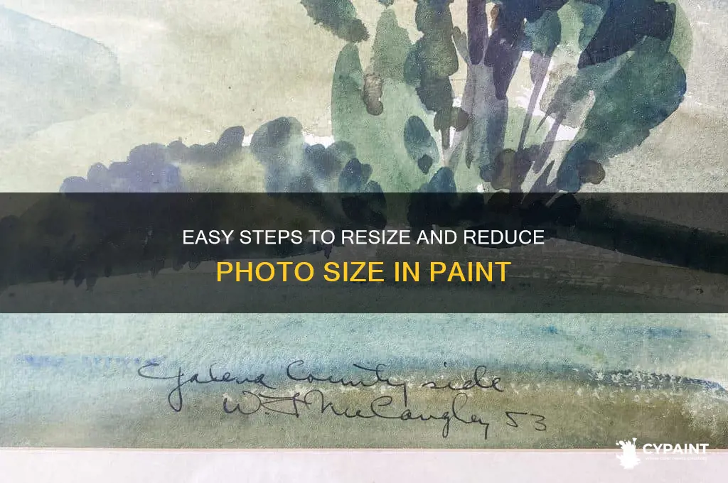 how to decrease size of photo in paint