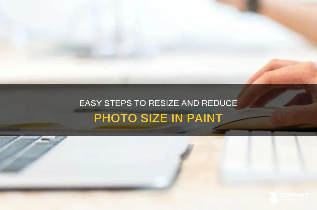 how to decrease the size of a photo in paint