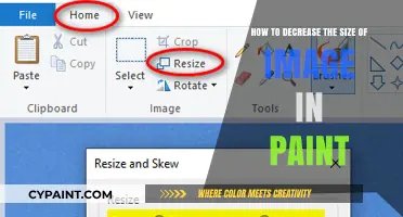 Condensing Images: Paint's Resize Functionality