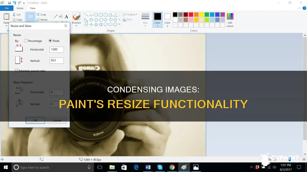 how to decrease the size of image in paint