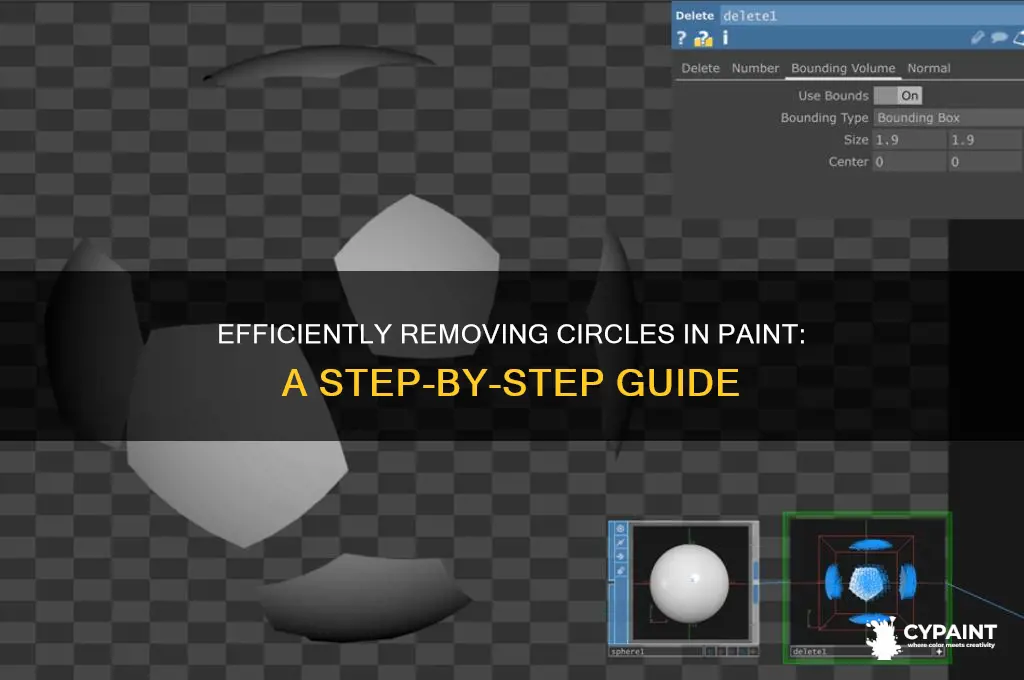 how to delete a circle in paint