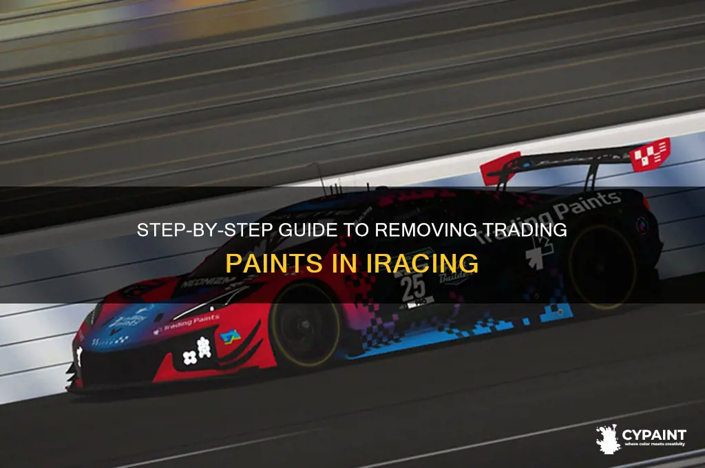 how to delete a trading paint in iracing