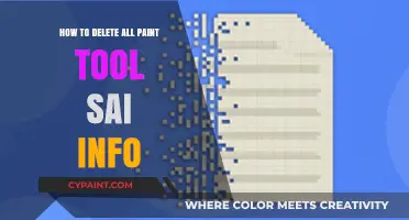 Efficiently Clear Paint Tool SAI Data: A Comprehensive Guide