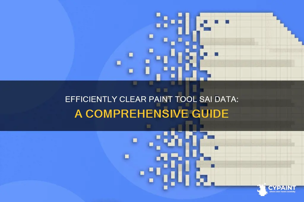 how to delete all paint tool sai info