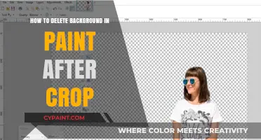 Efficiently Remove Background in Paint Post-Crop: A Step-by-Step Guide