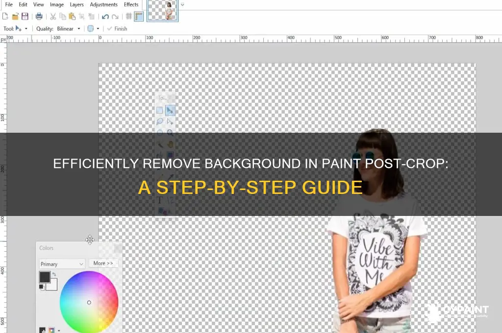 how to delete background in paint after crop