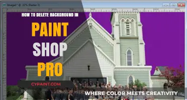 Master Background Removal in PaintShop Pro: A Step-by-Step Guide