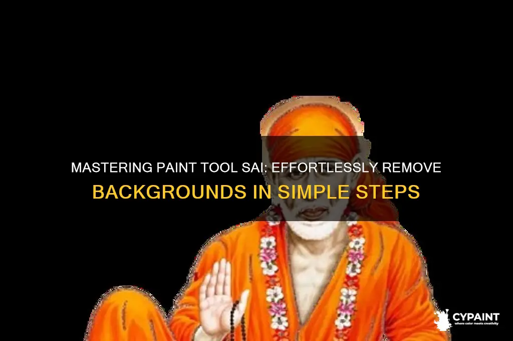 how to delete background in paint tool sai