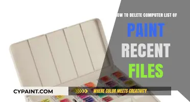 Clear Recent Files in Paint with Easy Steps