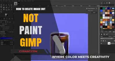Remove Images Without Deleting Paint Layers in GIMP: A Guide