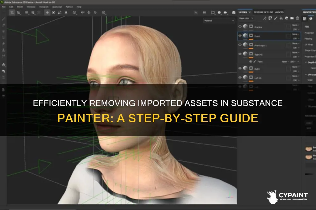 how to delete imported items in substance painter