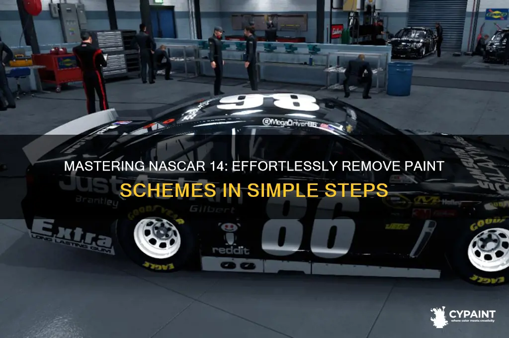 how to delete paint acheme in nascar 14