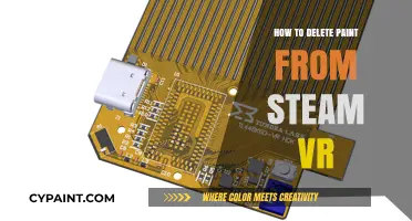 Efficiently Remove Paint from SteamVR: A Step-by-Step Guide