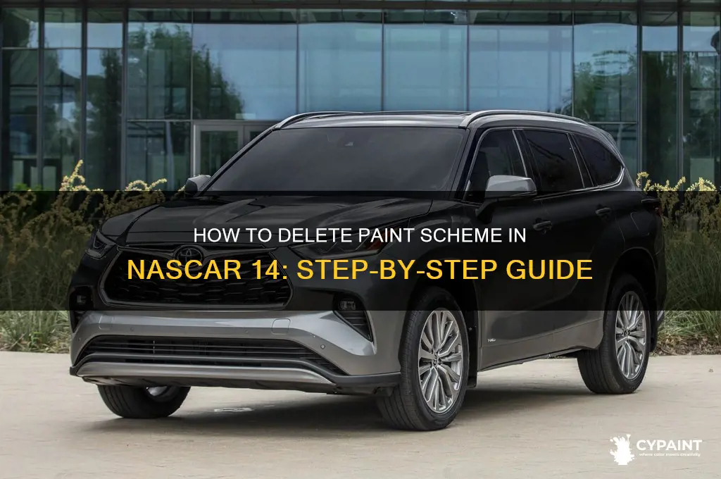 how to delete paint scheme in nascar 14