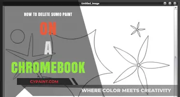 How to Uninstall Sumo Paint on Your Chromebook: A Quick Guide