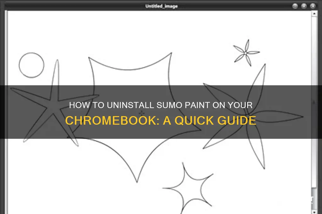 how to delete sumo paint on a chromebook