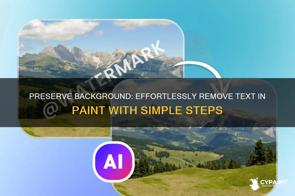 how to delete text without deleting the background in paint