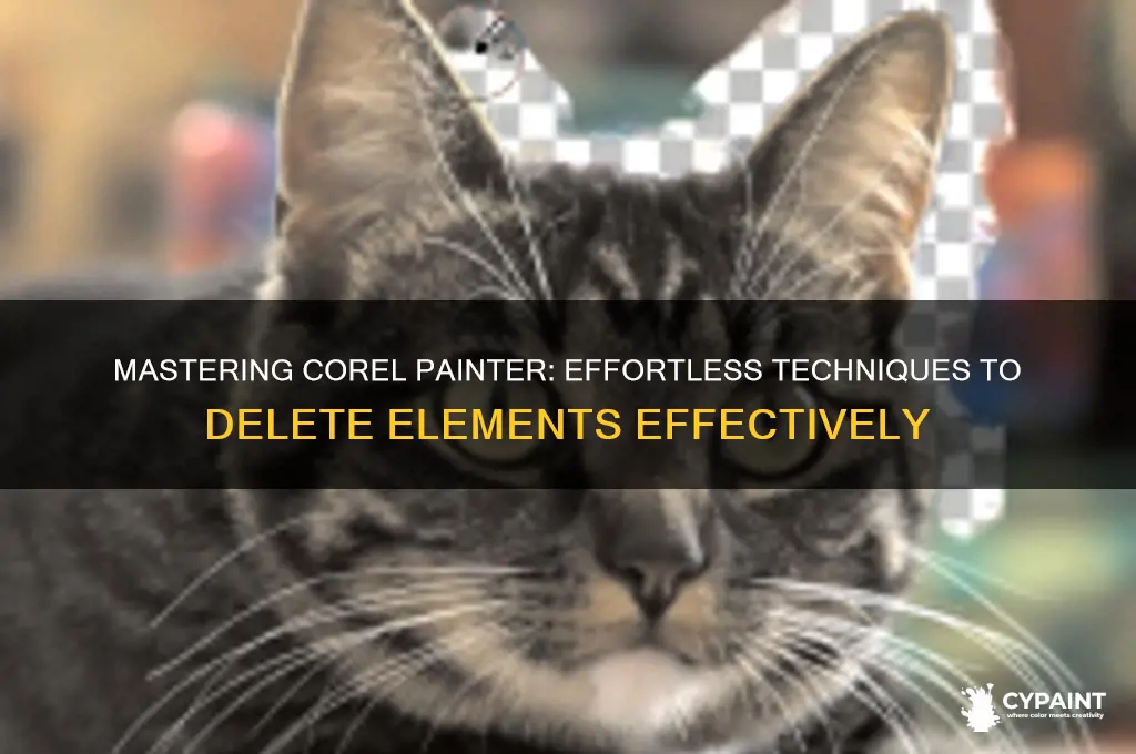 how to delete things in corel painter