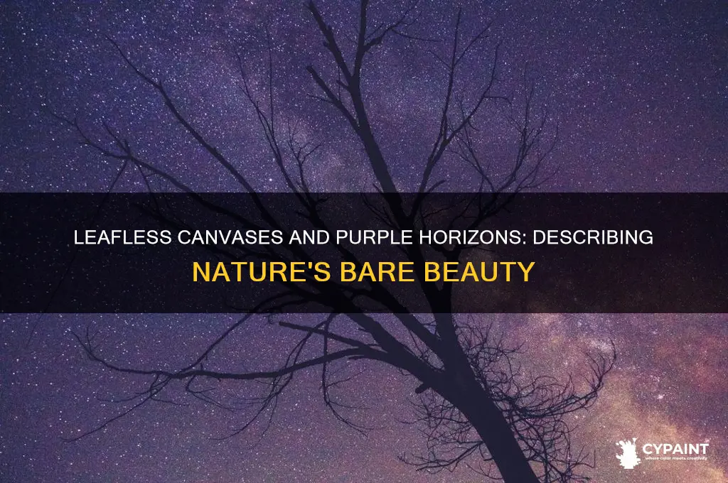 how to describe a leafless painting and purple evening sky