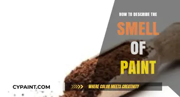 Capturing the Aroma: Articulating the Unique Smell of Paint