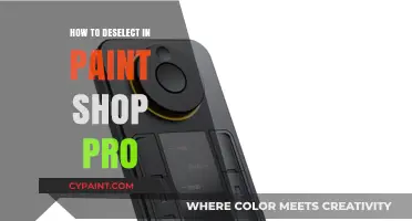 Mastering Paint Shop Pro: Quick Guide to Deselecting Selections