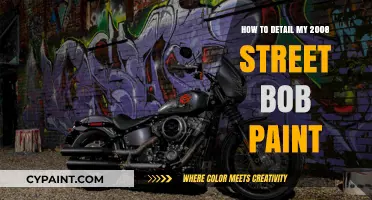 Revitalize Your 2008 Street Bob: Expert Paint Detailing Guide