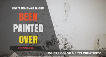 Uncover Hidden Mold: Detecting Mold Under Paint