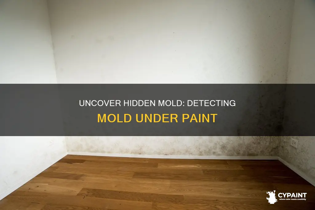 how to detect mold that has been painted over